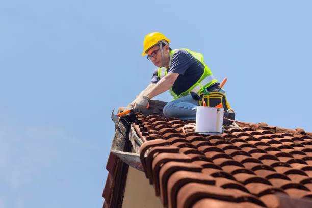 Best Gutter Installation and Repair  in , NY